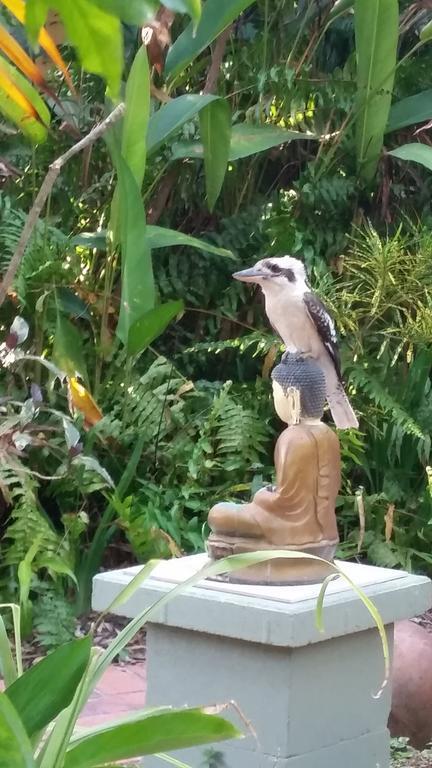 Shambhala Retreat Magnetic Island Cottages Nelly Bay Bagian luar foto