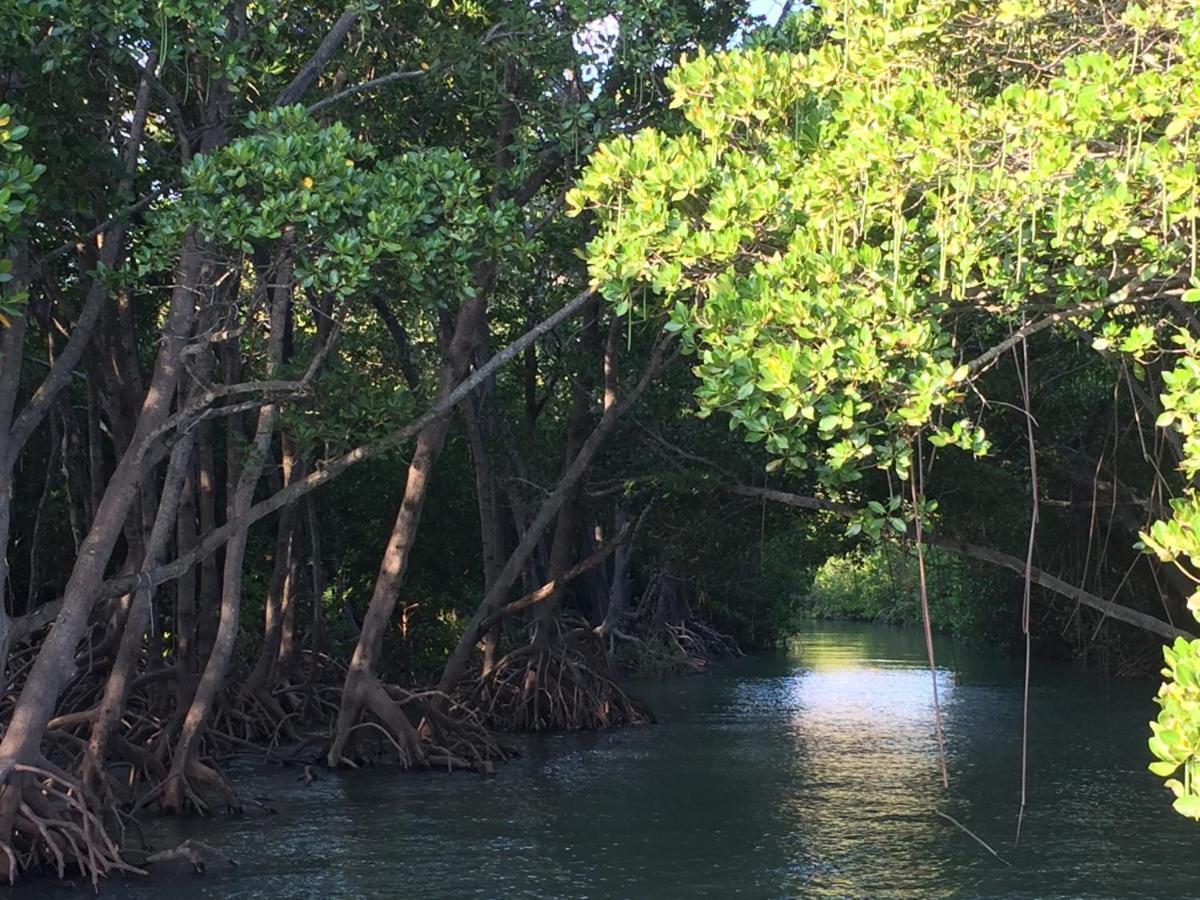 Shambhala Retreat Magnetic Island Cottages Nelly Bay Bagian luar foto